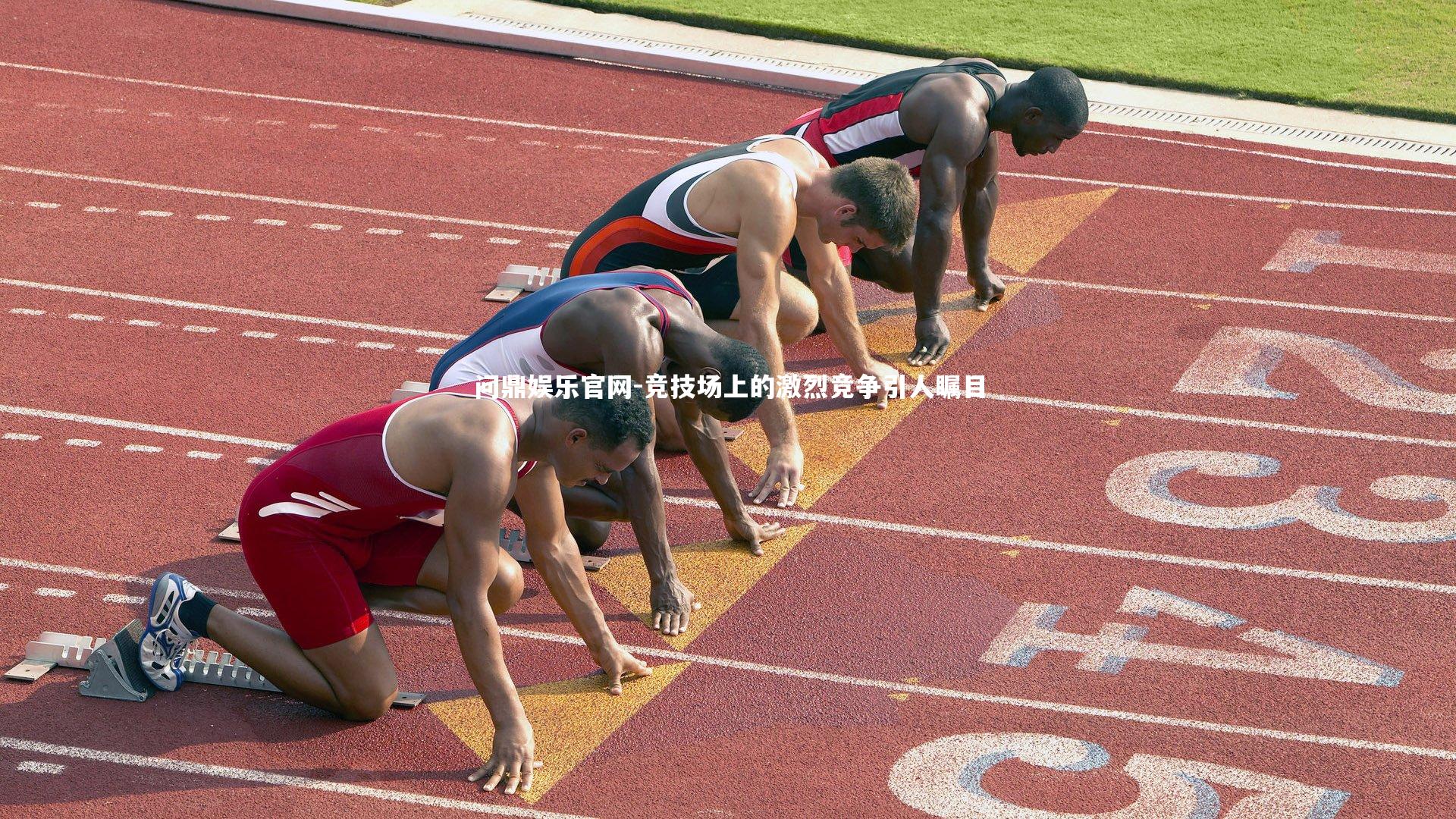 竞技场上的激烈竞争引人瞩目