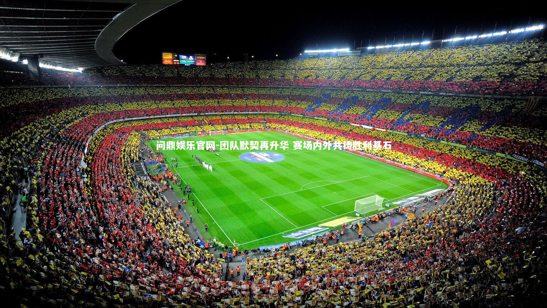 团队默契再升华 赛场内外共铸胜利基石