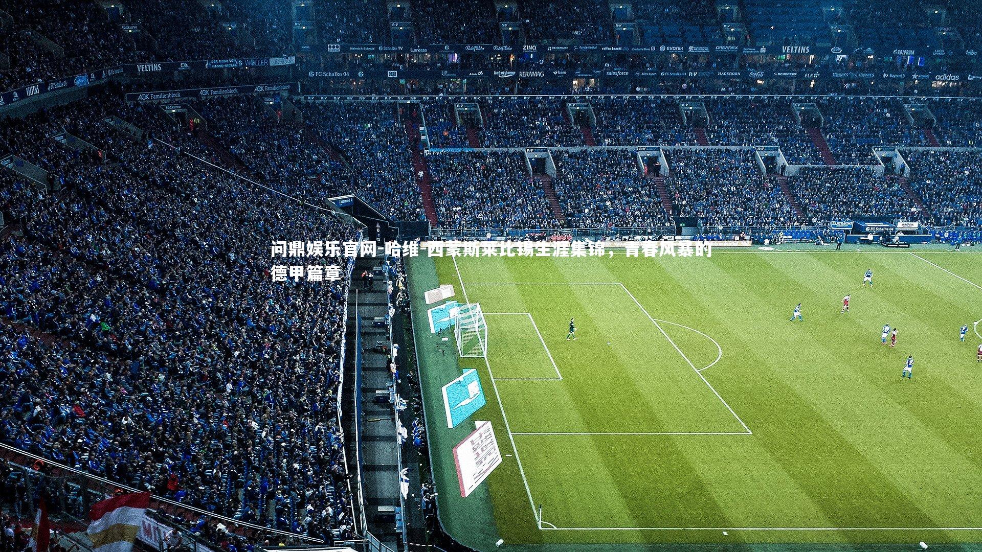 哈维-西蒙斯莱比锡生涯集锦,青春风暴的德甲篇章